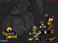 Kingdom Hearts CoM 01